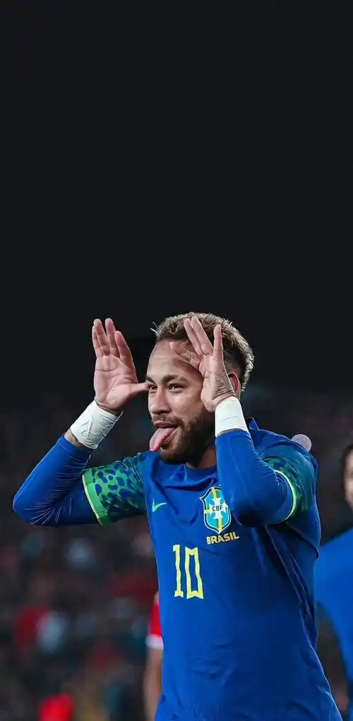 仅展示了他 仅展示了他